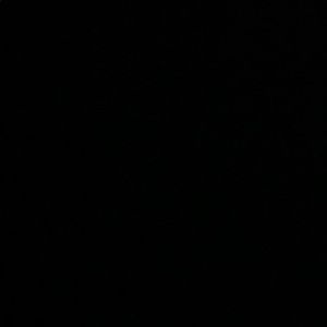 Meet your Posher, Dani